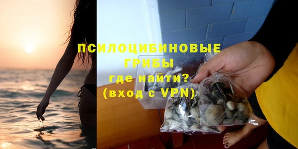 гидра Аркадак
