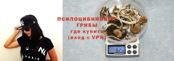 крисы Арсеньев