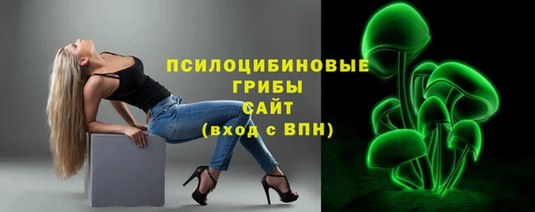 гидра Аркадак