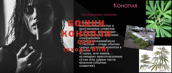 гидра Аркадак